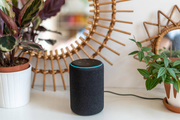 connecting and calling another home's Alexa device.
